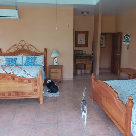 Gone Fishing Panama Resort Boca Chica Luaran gambar
