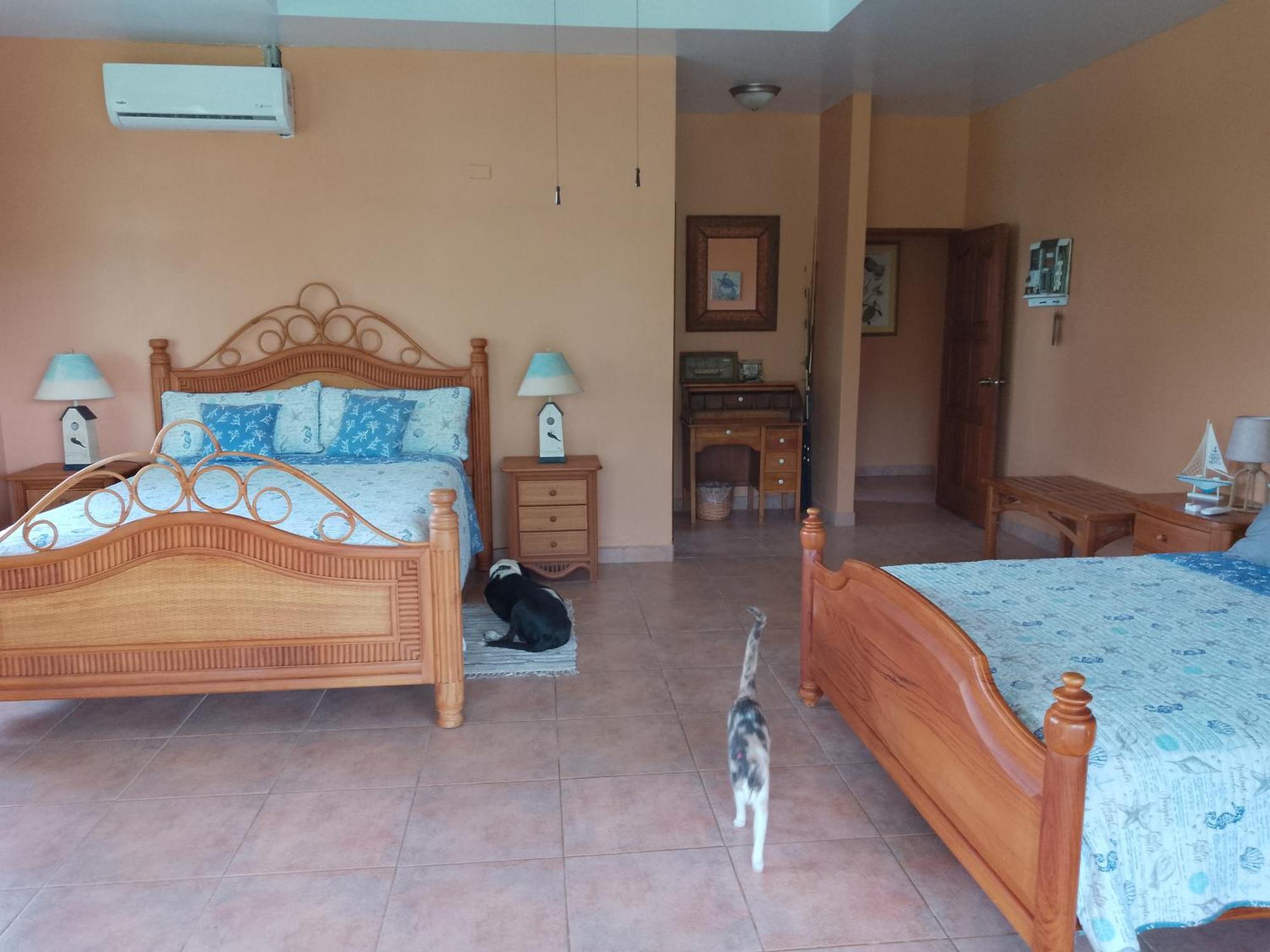 Gone Fishing Panama Resort Boca Chica Luaran gambar